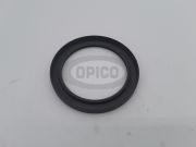 7586505417 - SEAL 100 X 130 X 12