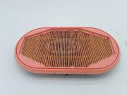 7563221523 - SAFETY AIR FILTER