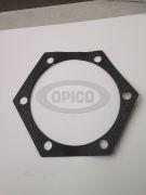 546248-2 - SHIM 010
