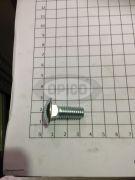 55784 - BOLT