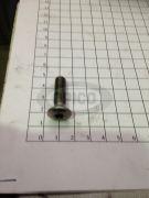 7529319504 - HEX HEAD SCREW M8 X 30 TORX T40