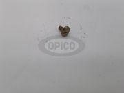 7586503044 - ROUND-HEAD SCREW GALV